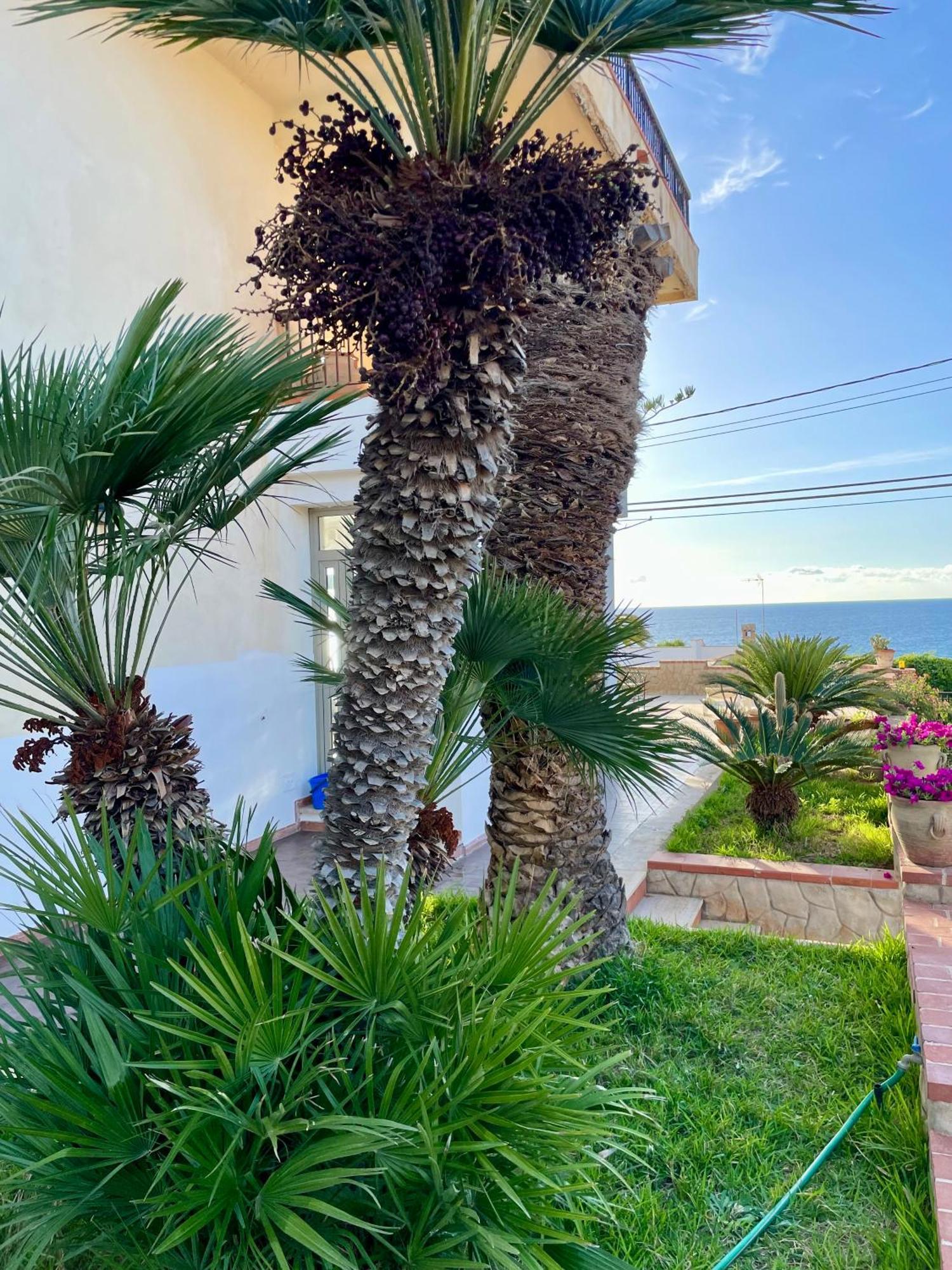 טראפטו Villa Sul Mare Palazzolo מראה חיצוני תמונה